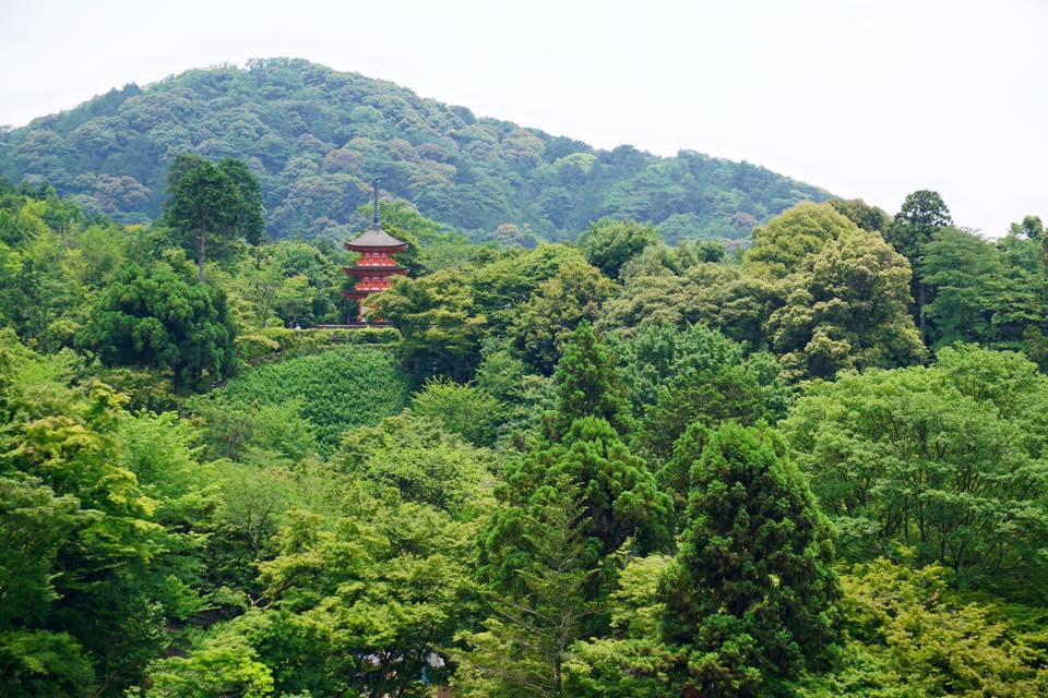 Kiyomizudera Temple in Kyoto