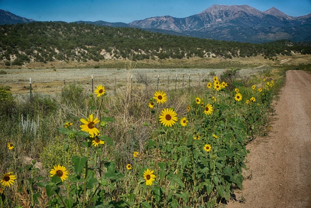 Road to Great Sand Dunes National Park