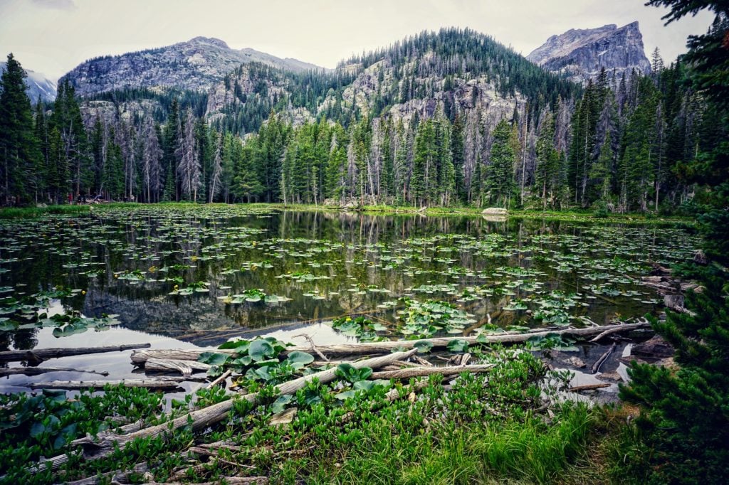 Nymph Lake on the Bear Lake Loop in Estes Park, Colorado