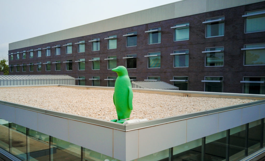 Penguin at 21c Museum Hotel Bentonville