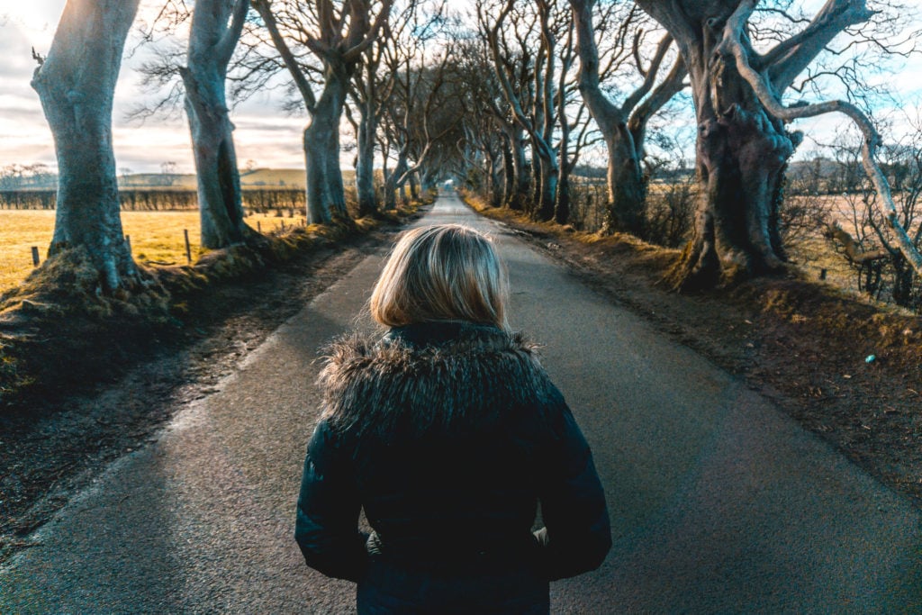 The Dark Hedges in Northern Ireland.