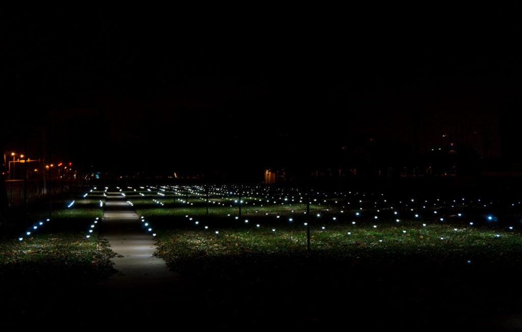 Whiteout - an art installment at Campbell Park with LED light bulbs suspended by wire and illuminating the ground.