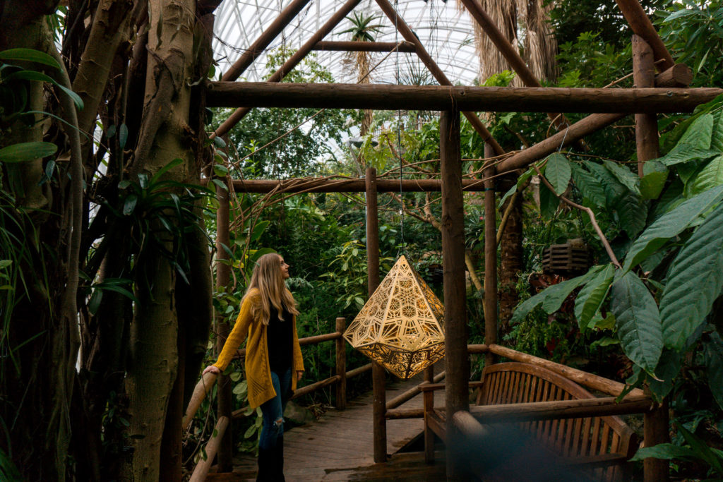 Standing in the Myriad Botanical Gardens