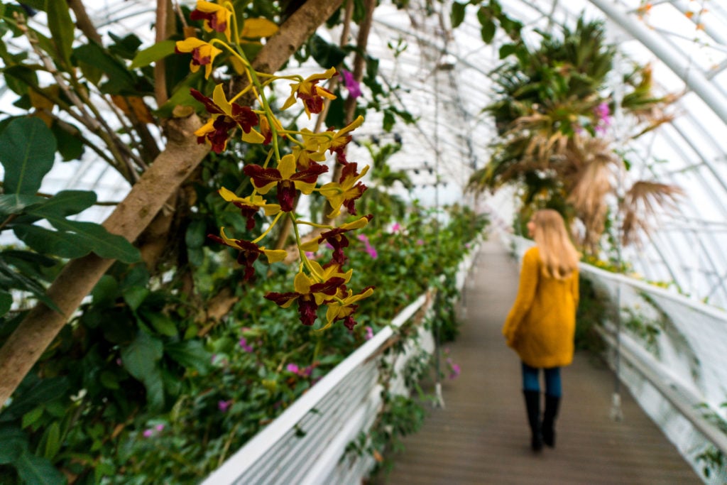 Bridge at the Myriad Botanical gardens, flowers in the forefront