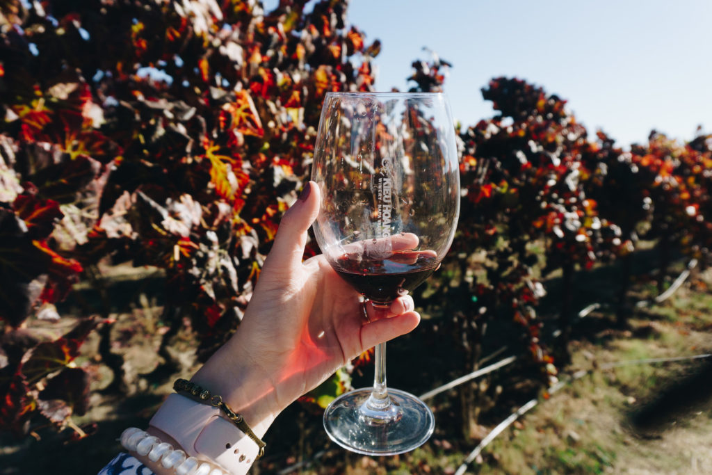 Wine Glass by vineyard at Kieu Hoang - tours from San Francisco.