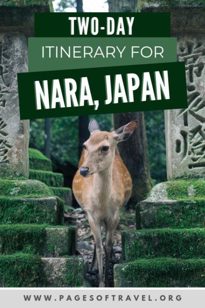 In this Nara Itinerary you'll find a complete 2 day guide to Nara, Japan (but you can also do a day trip too!). There is natural beauty to behold on every corner in Nara with beautiful shrines and temples and of course the ever popular Nara Deer Park.