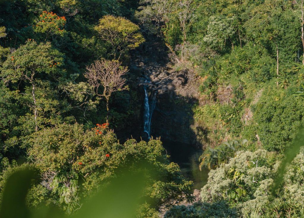 View of Puohokamoa Falls from Garden of Eden on the Road to Hana in Maui.