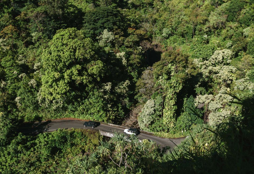 View of the Road to Hana from Garden of Eden in Maui.