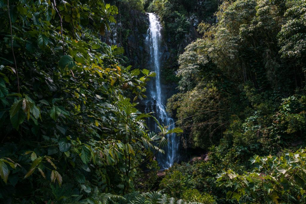Wailua Falls in Maui