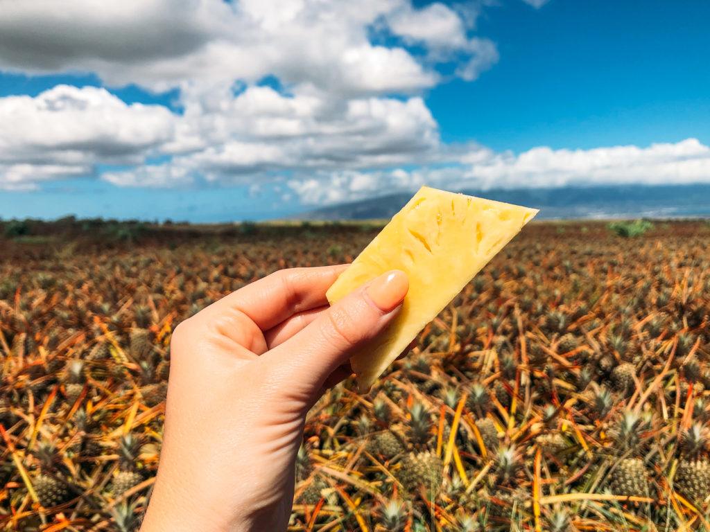 Maui Gold Pineapple from the Maui Pineapple Tour.