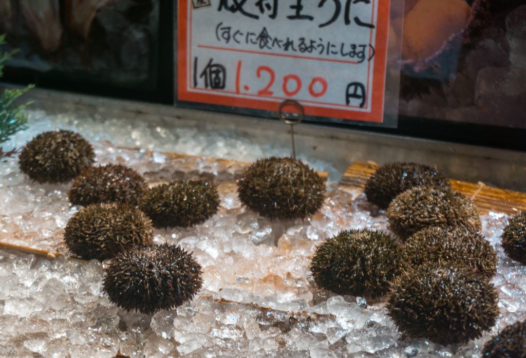 Uni (sea urchin) for sale at Kuroshio Market in Wakayama Marina City.