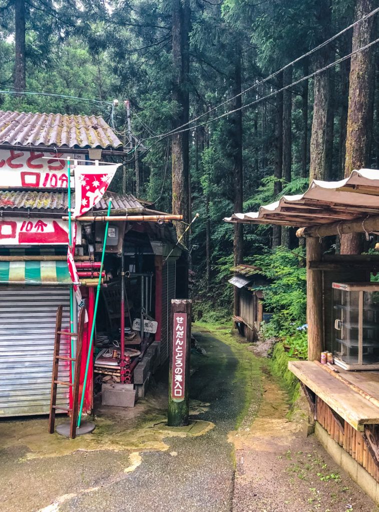 Hiking trail to Sendon Todoro (栴壇轟の滝) in Gokanosho, Japan