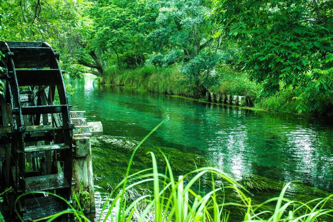 Daio Wasabi Farm in Azumino City A Day Trip from Matsumoto, Japan