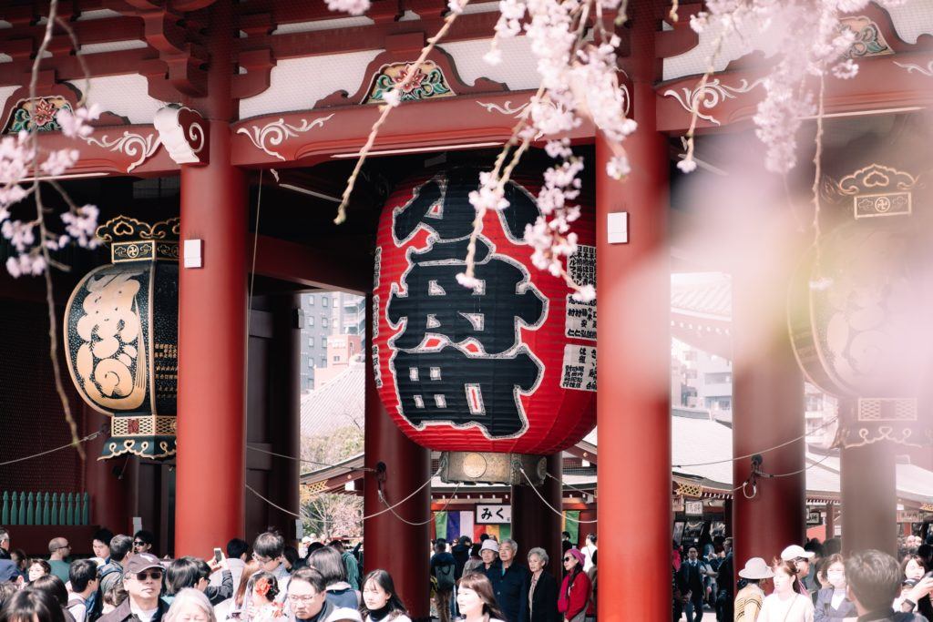 Sakura in Tokyo