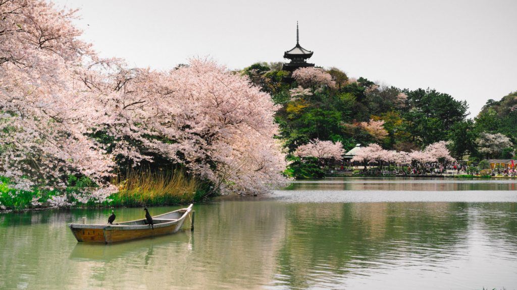 View of the pond at Sankeien Garden - Yokohama, Japan